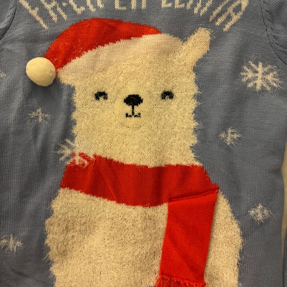 Aeropostale Christmas/Winter Sweater - Picture 2 of 6